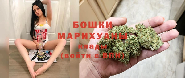 мдпв Дмитровск