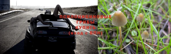 кристаллы Дмитриев
