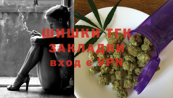 дживик Чегем