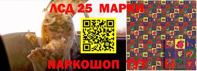 герыч Камышлов