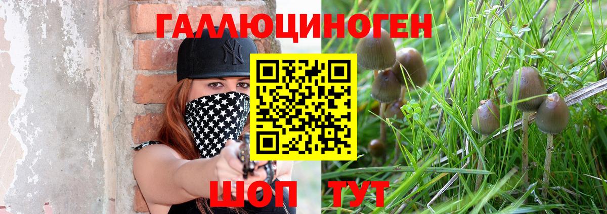 Псилоцибиновые грибы мицелий  Вход с VPN  Обь 